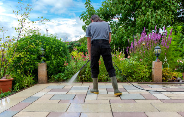 Best Driveway Pressure Washing  in Montrose, MI