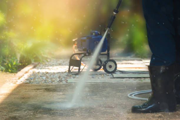 Best Animal Enclosure Cleaning  in Montrose, MI